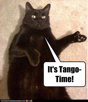 It's Tango-Time!