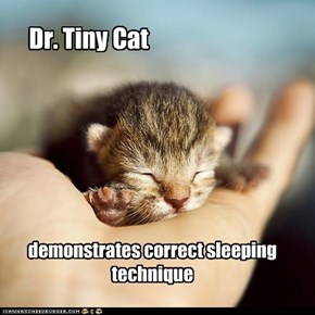 Dr. Tiny Cat