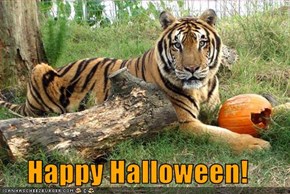 Happy Halloween!