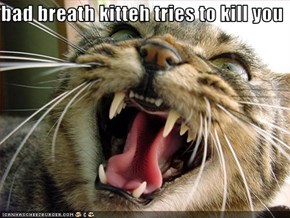 bad breath kitteh tries to kill you