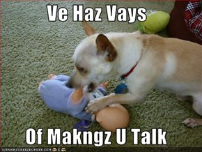 Ve Haz Vays  Of Makngz U Talk