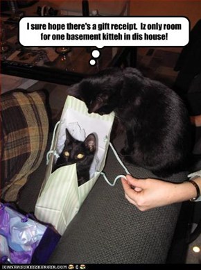 I sure hope there's a gift receipt.  Iz only room for one basement kitteh in dis house!