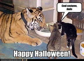 Cool costume, dude