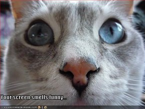 Your screen smells funny...