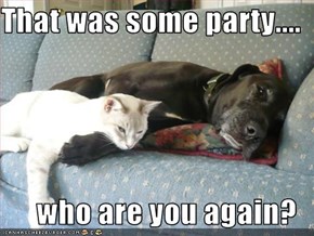 That was some party....  who are you again?