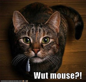 Wut mouse?!