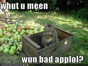 whut u meen  wun bad applol?