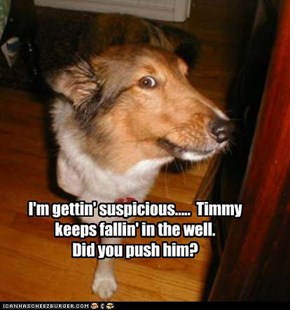 I'm gettin' suspicious.....  Timmy keeps fallin' in the well.      Did you push him?