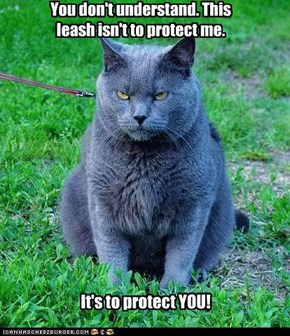 You don't understand. This leash isn't to protect me.