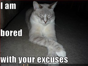 I am bored with your excuses