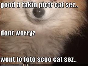 good a takin pictr cat sez.. dont worryz went to foto scoo cat sez..