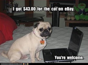 I  got  $43.00  for  the  cat  on  eBay.