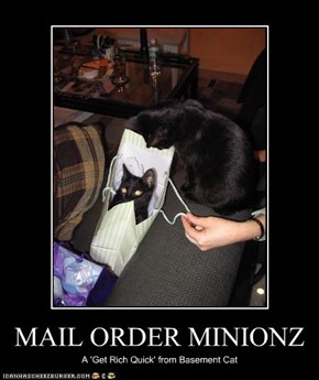 MAIL ORDER MINIONZ