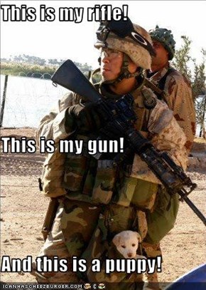 This is my rifle! This is my gun! And this is a puppy!