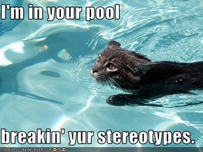 I'm in your pool  breakin' yur stereotypes.