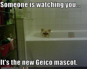 Someone is watching you...  It's the new Geico mascot.