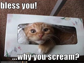 bless you!  ...why you scream?