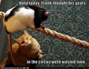 Until today, Frank thought his years  in the circus were wasted time.