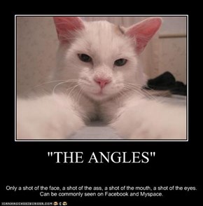 "THE ANGLES"