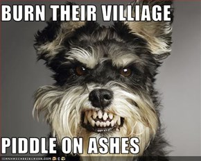 BURN THEIR VILLIAGE  PIDDLE ON ASHES
