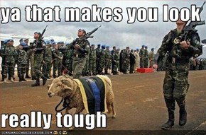 ya that makes you look   really tough