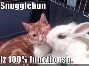 Snugglebun  iz 100% functionsh.