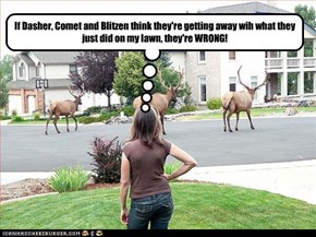 If Dasher, Comet and Blitzen think they're getting away wih what they just did on my lawn, they're WRONG!