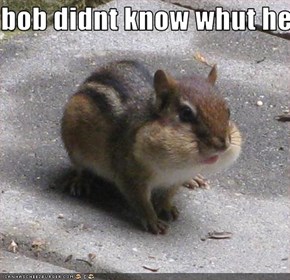 bob didnt know whut he just ate