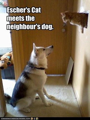 Escher's Cat meets the neighbour's dog.