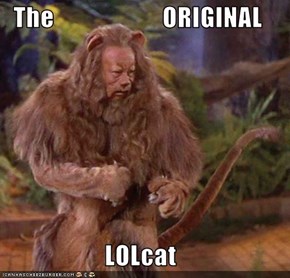 The                     ORIGINAL  LOLcat