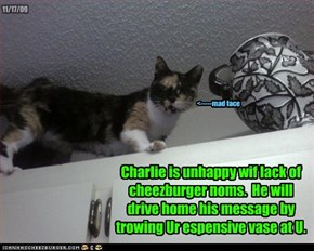 Charlie is unhappy wif lack of cheezburger noms.  He will drive home his message by trowing Ur espensive vase at U.