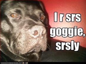 I r srs goggie, srsly