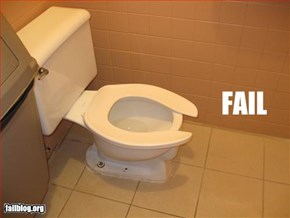 Toilet Seat Fail