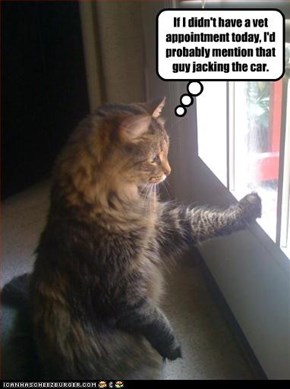 If I didn't have a vet appointment today, I'd probably mention that guy jacking the car.
