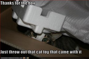 Thanks for the box  Just throw out that cat toy that came with it