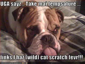 UGA sayz .. Take mai tempsature ...  finks I haz (wild) cat scratch fevr!!!