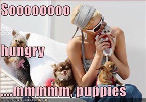 Soooooooo  hungry ....mmmmm, puppies