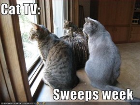 Cat TV:    Sweeps week