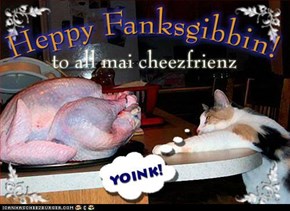 Ai'z gonna gib fanks wunce ai get dis in mai belly, aifinkso!