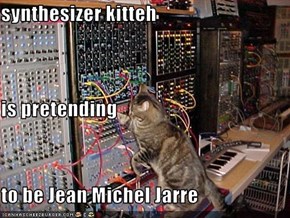 synthesizer kitteh is pretending to be Jean Michel Jarre