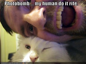 Photobomb ... my human do it rite.