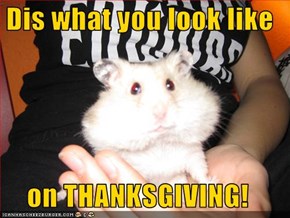 Dis what you look like  on THANKSGIVING!