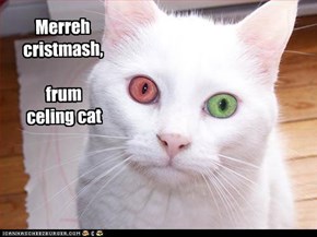 Merreh cristmash,  frum  celing cat