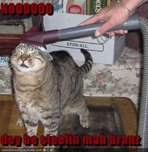 NOOOOOO  dey be steelin mah branz