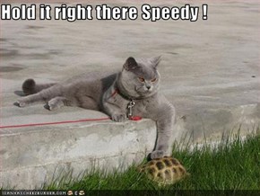 Hold it right there Speedy !