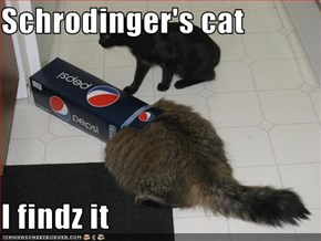 Schrodinger's cat  I findz it