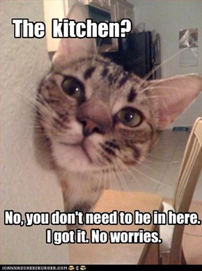 The  kitchen?