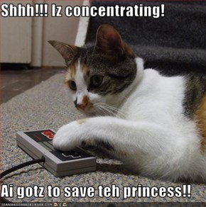 Shhh!!! Iz concentrating!  Ai gotz to save teh princess!!