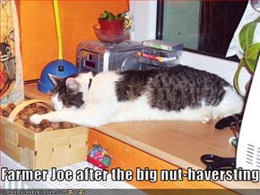 Farmer Joe after the big nut-haversting