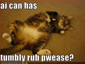 ai can has  tumbly rub pwease?